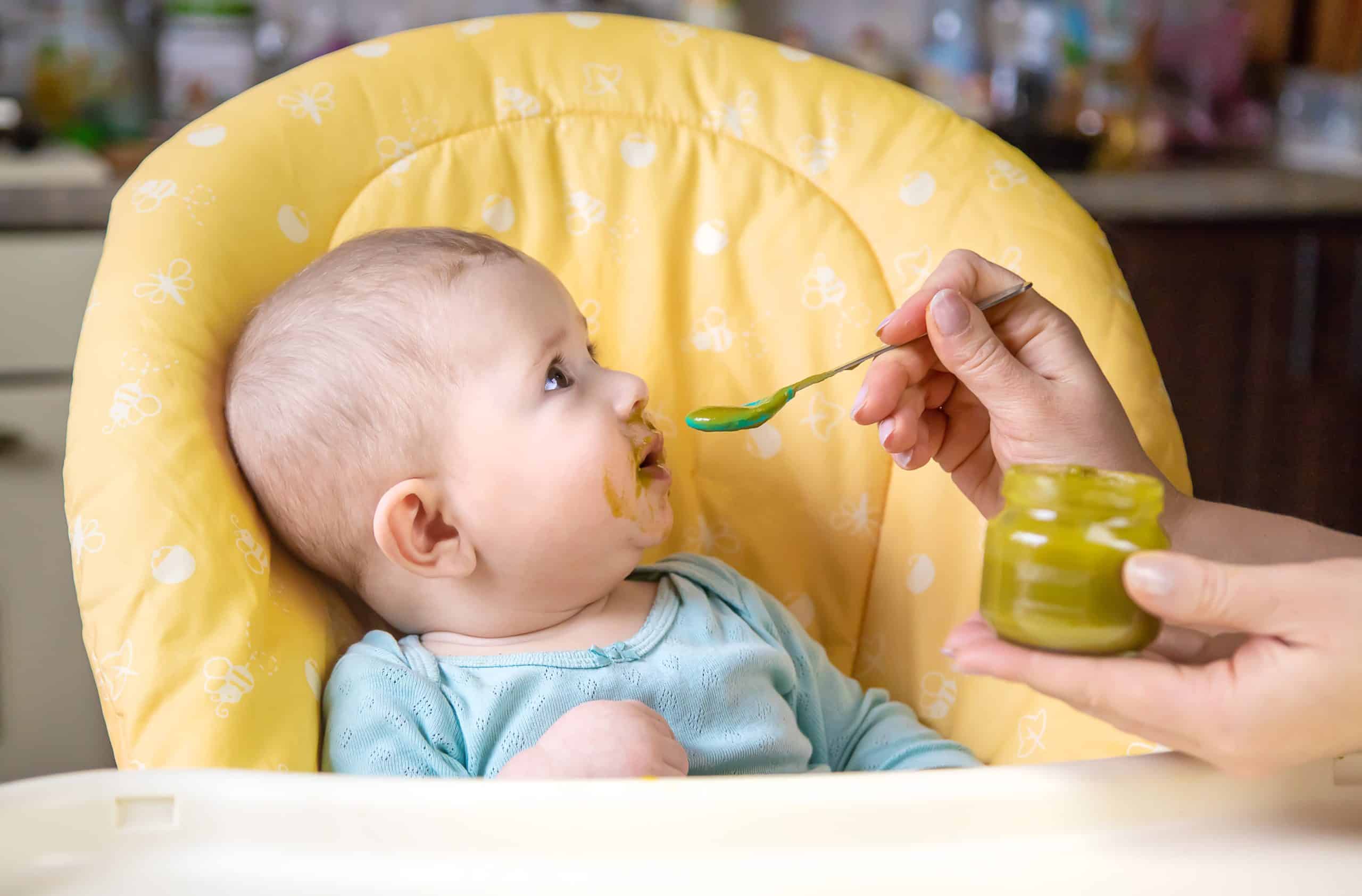feeding guide for baby's first year