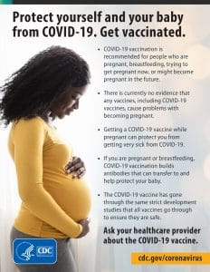 Pregnancy Vaccines PDF Thumbnail