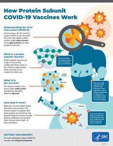 Protein Subunit Vaccines PDF Thumbnail